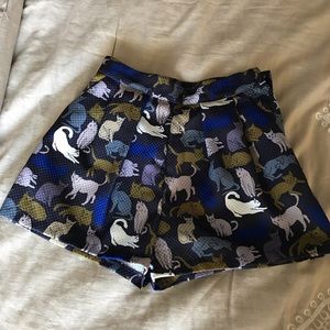 High waisted cat shorts